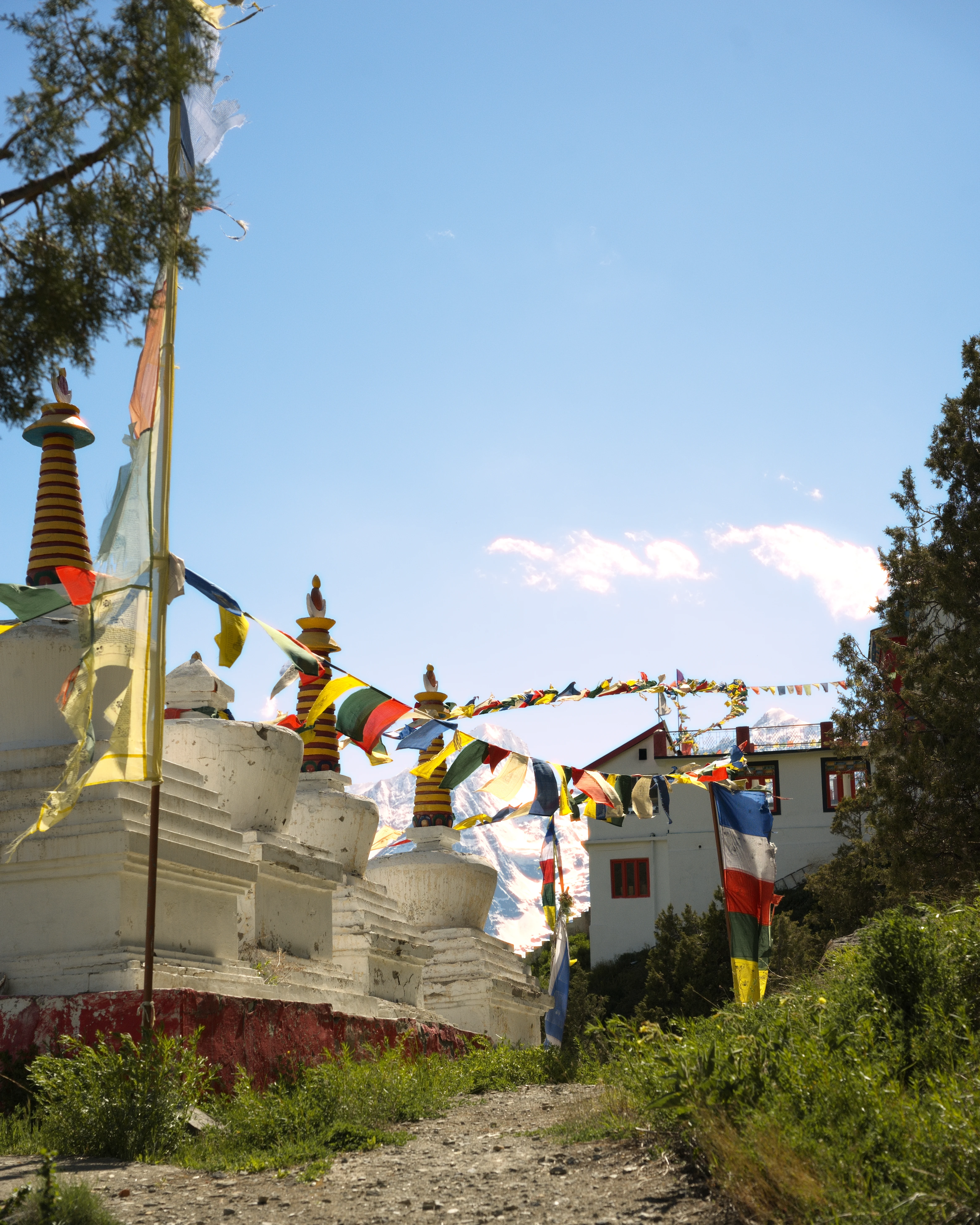 Himachal photo 12