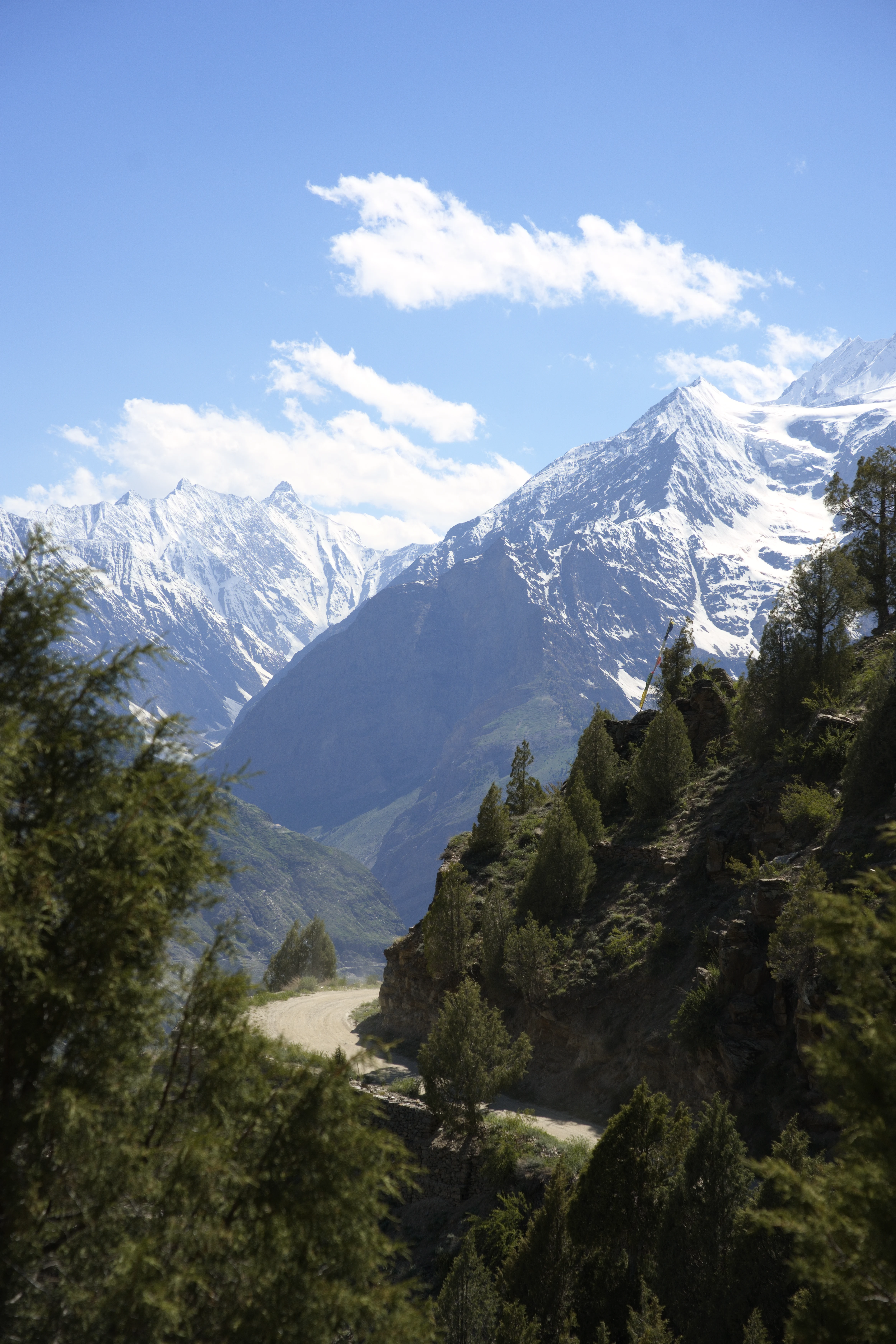 Himachal photo 14