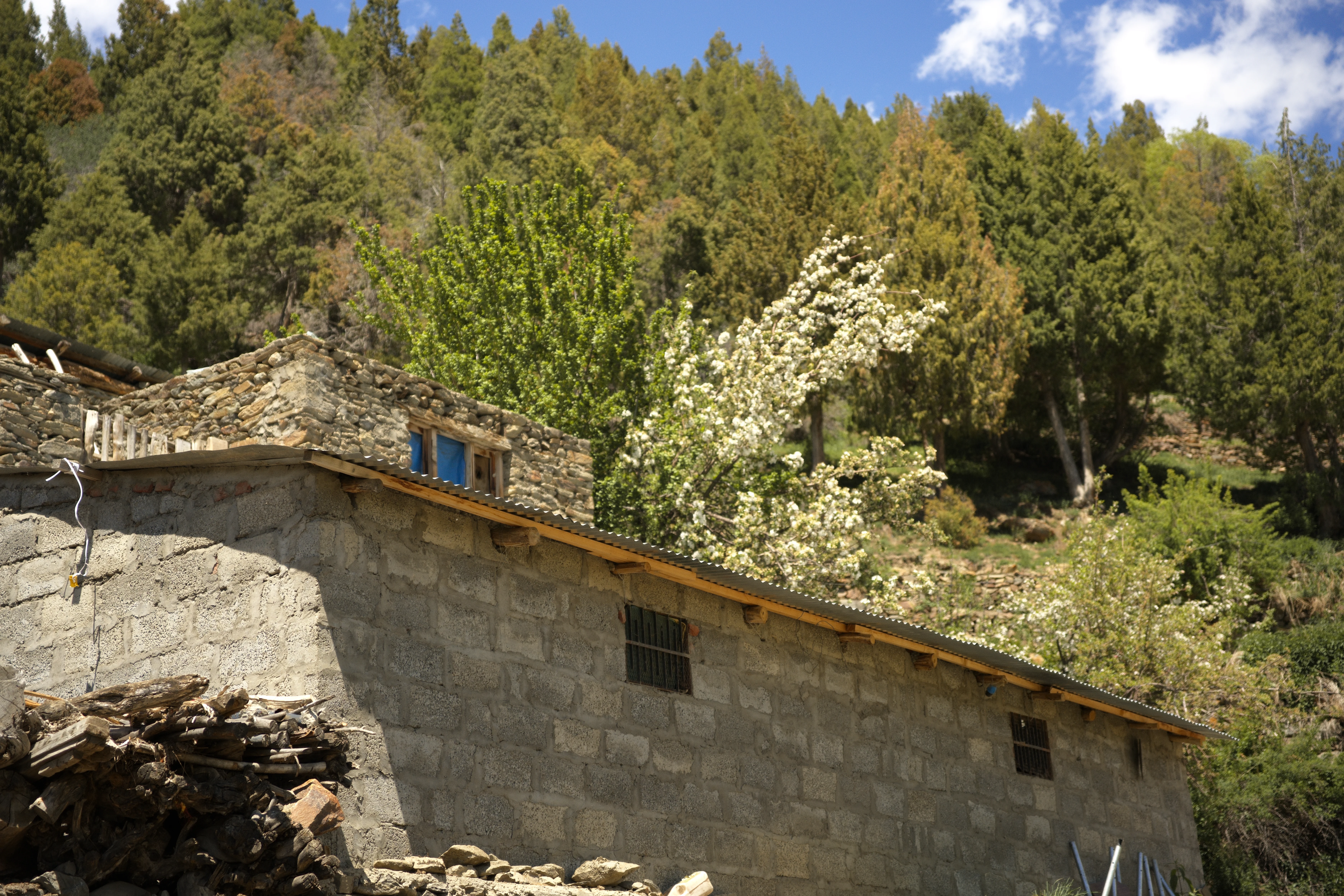 Himachal photo 3