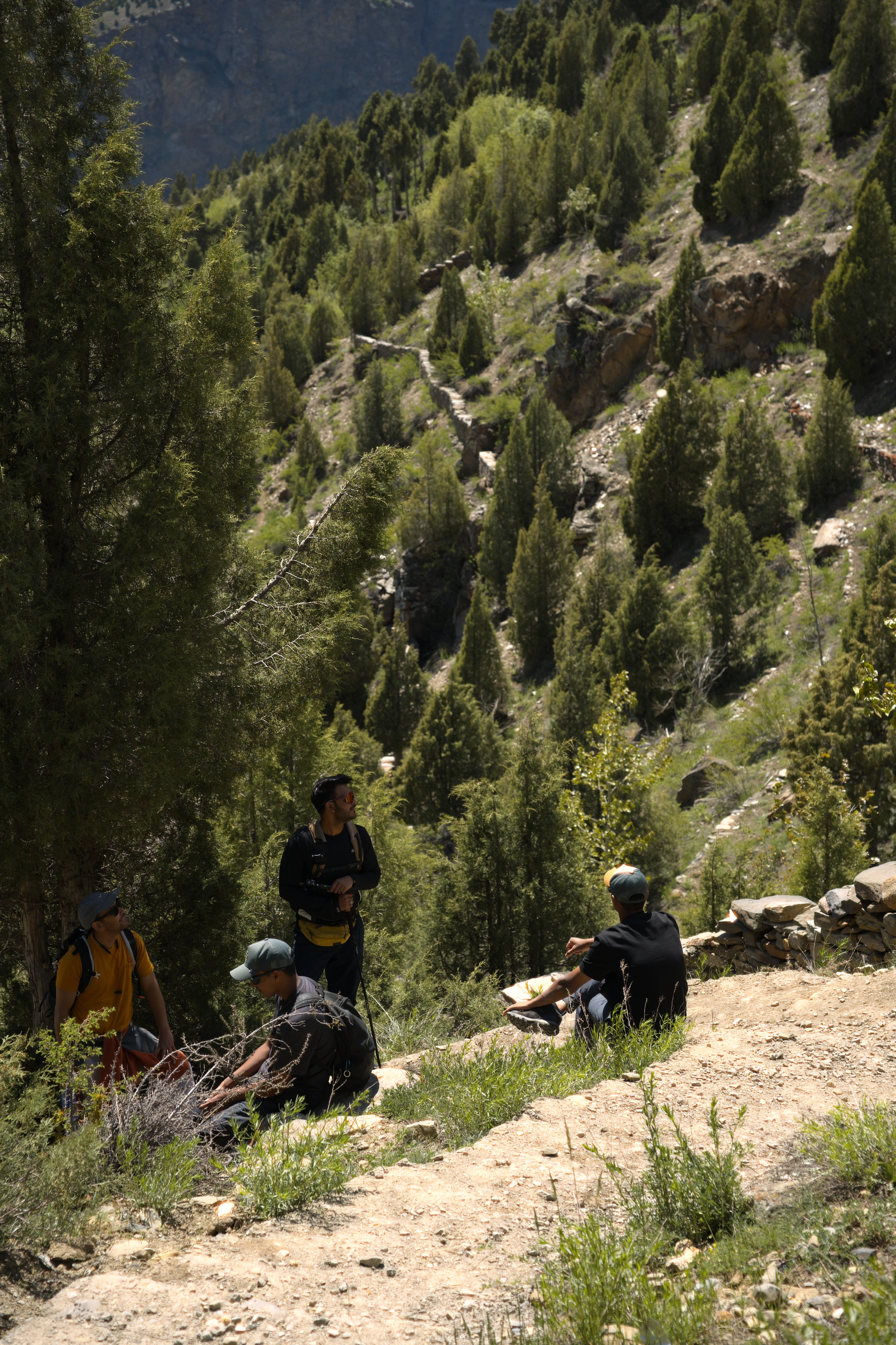 Himachal photo 4